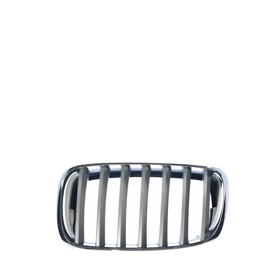 BMW X5 E70 Left Grille (3/2007 to 10/2013), Part 46960